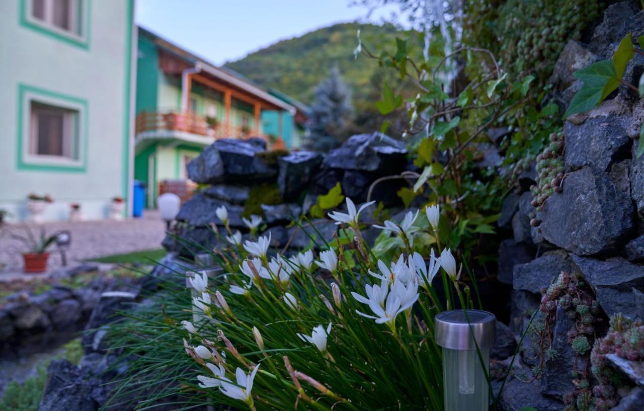 Pension Charisma Baile Herculane Exterior photo